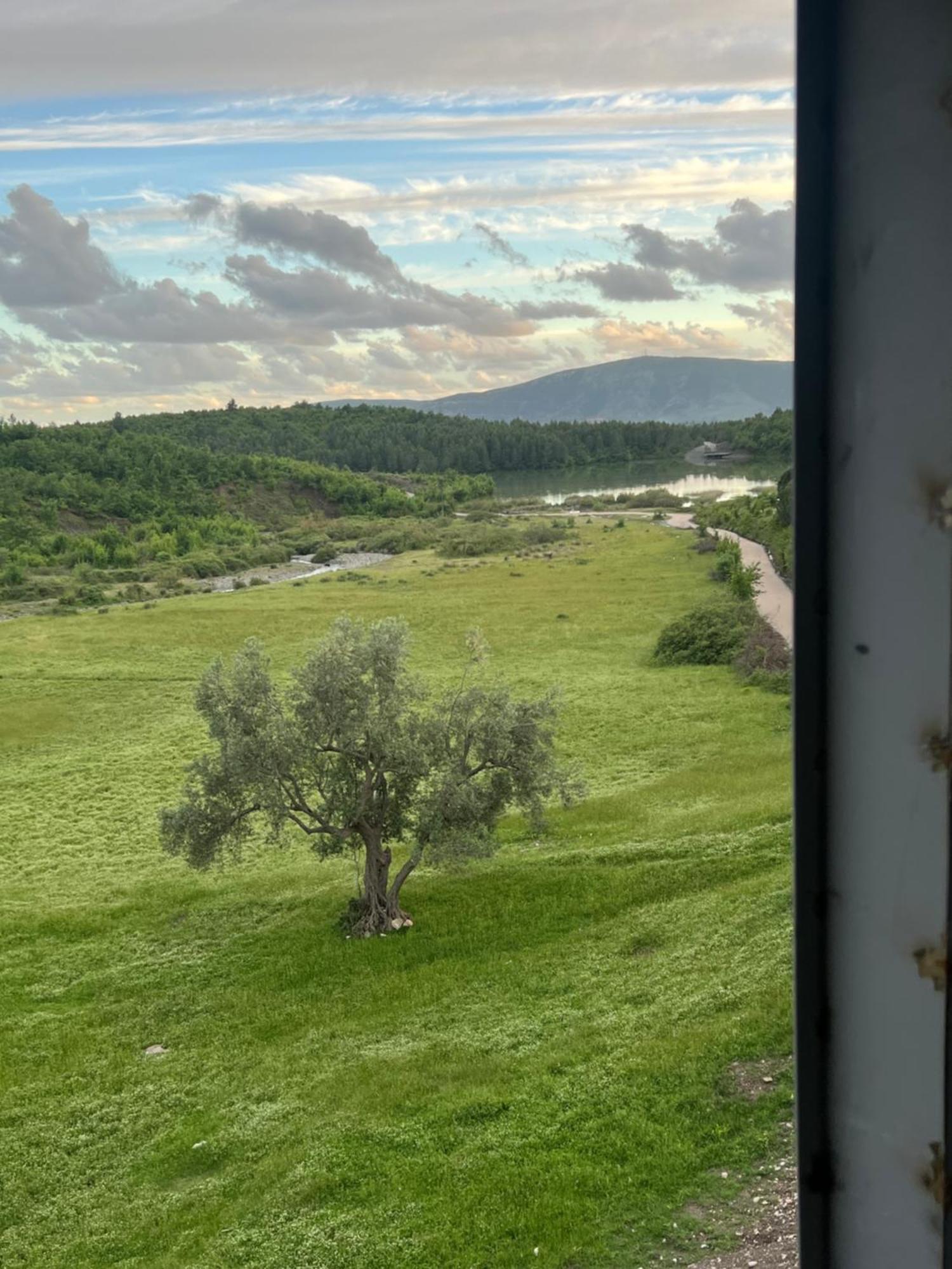 Guesthouse Koleci - Mrizi I Zanave Fishte Екстериор снимка