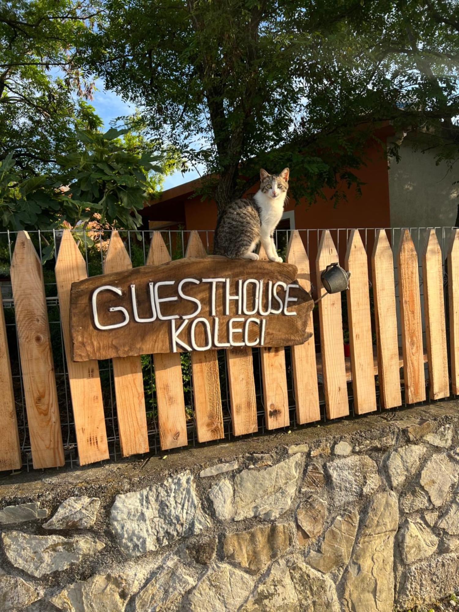 Guesthouse Koleci - Mrizi I Zanave Fishte Екстериор снимка